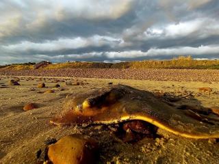 Playa Piedras 10
