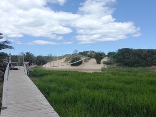 Puente colgante 7