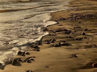 Playa Piedras 14