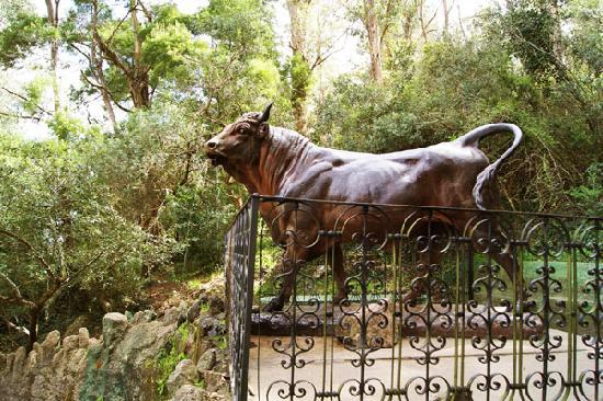 Cerro del Toro