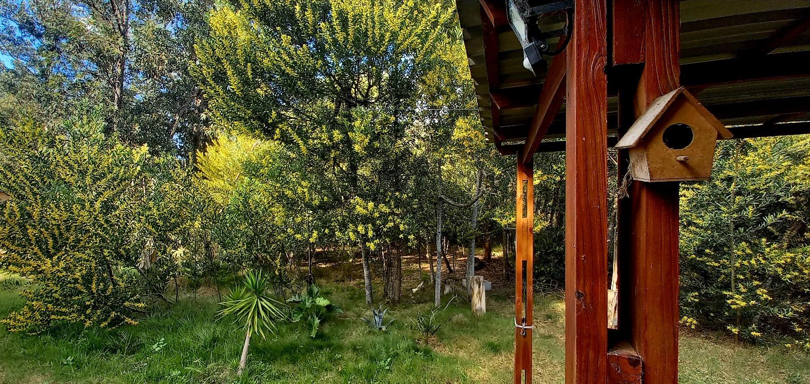 Casa Grande Pajarito
